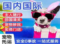 铜仁凤凰空运地址国际宠物托运 【国